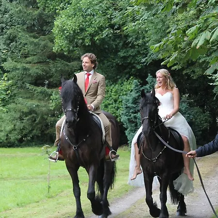 De Houtwal Bed & Breakfast Emst