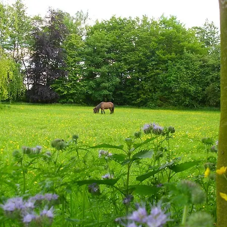 De Houtwal Bed & Breakfast