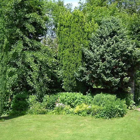 De Houtwal Bed & Breakfast