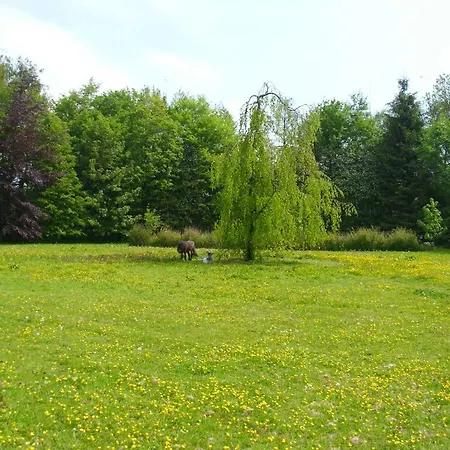 Bed & Breakfast De Houtwal