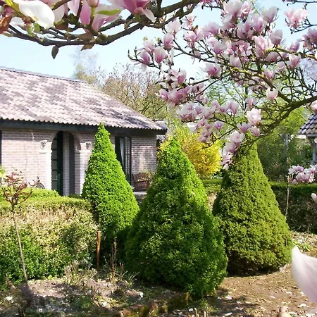 Bed & Breakfast De Houtwal Emst