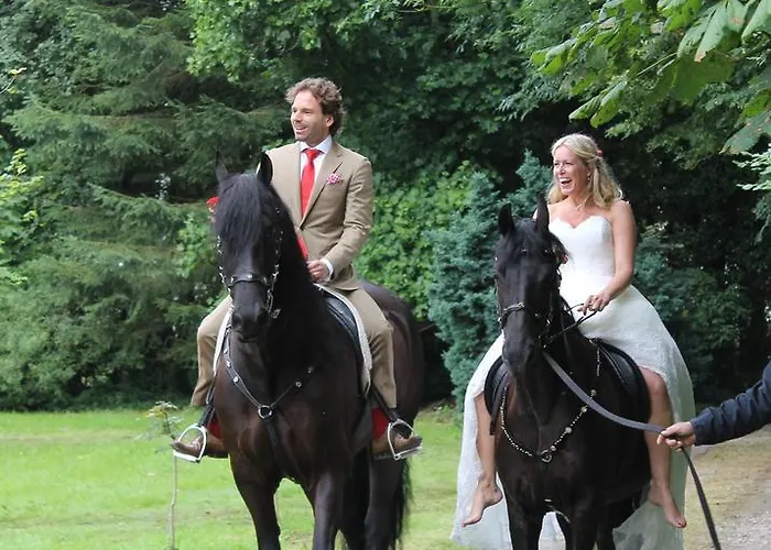 De Houtwal Bed & Breakfast Emst