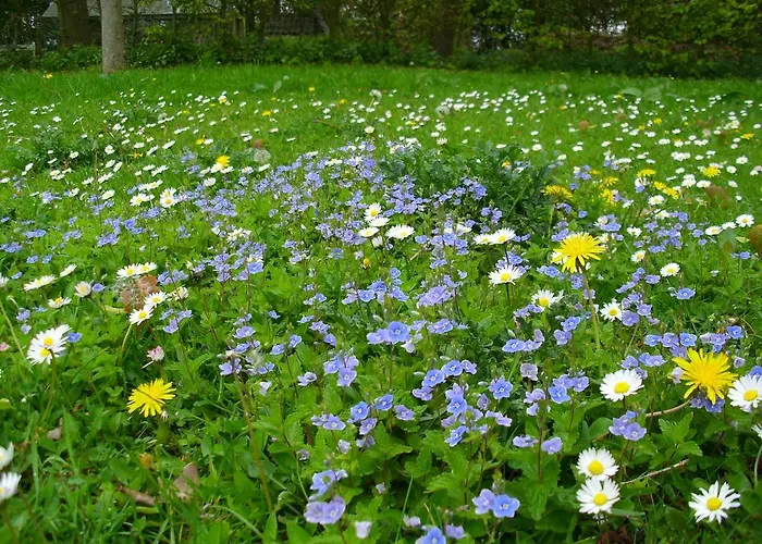 Bed & Breakfast De Houtwal *