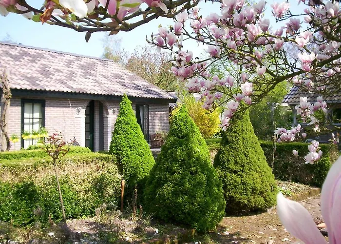 Bed & Breakfast De Houtwal Emst