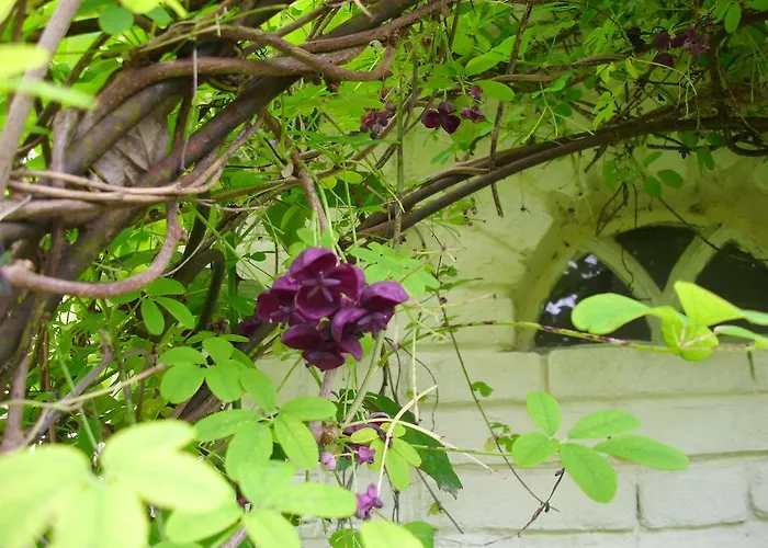 Alojamento de Acomodação e Pequeno-almoço De Houtwal *