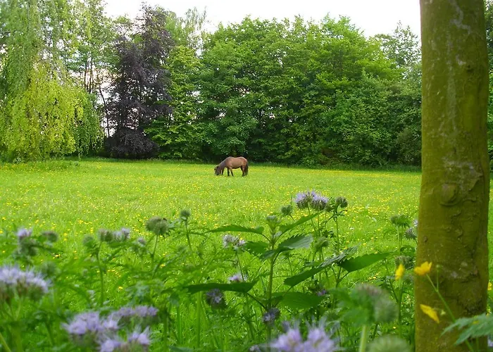 De Houtwal Alojamento de Acomodação e Pequeno-almoço