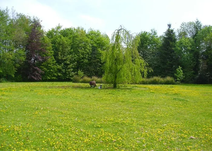 Alojamento de Acomodação e Pequeno-almoço De Houtwal