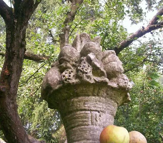 De Houtwal Alojamento de Acomodação e Pequeno-almoço